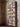 Ptolomeo Wall